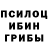 Галлюциногенные грибы прущие грибы Venera Dunganova