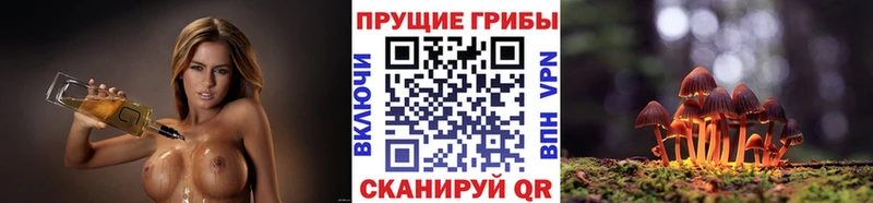 OMG ТОР  Асино  Галлюциногенные грибы ЛСД 