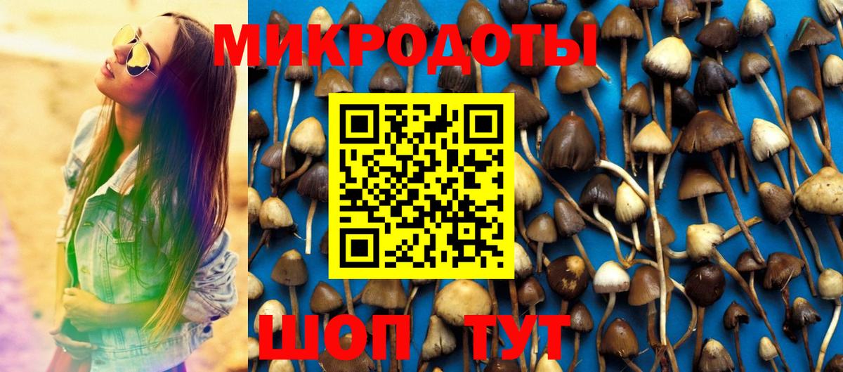 Галлюциногенные грибы Cubensis Асино